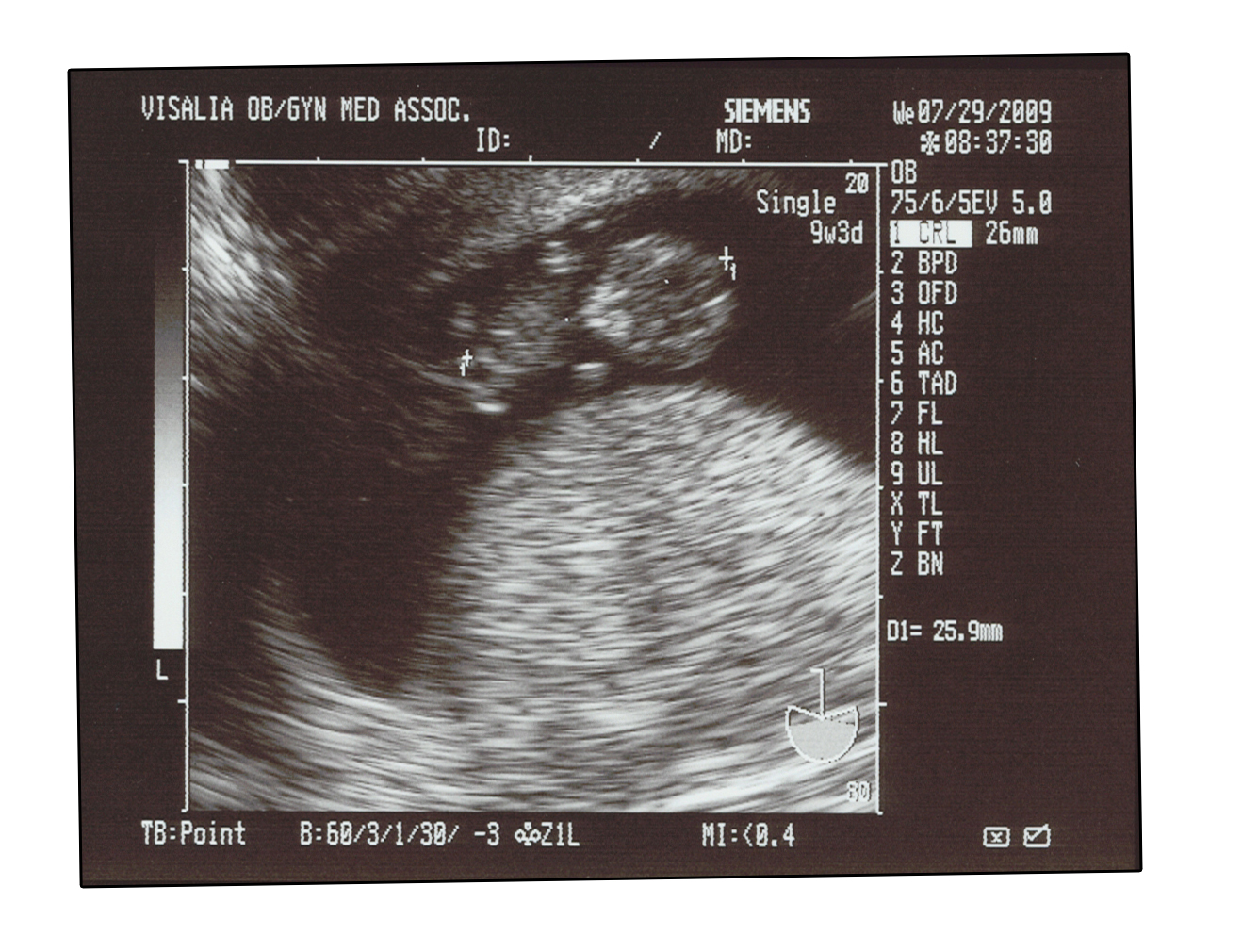 the littlest pensiero